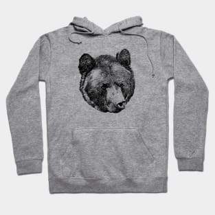 Brown bear portrait Hoodie